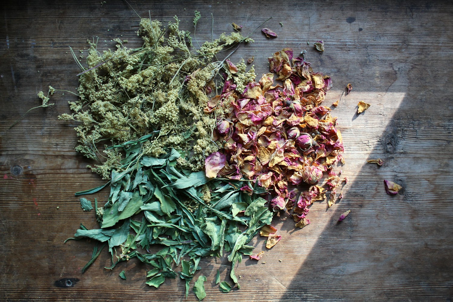 The Quiet Power of Adaptogens