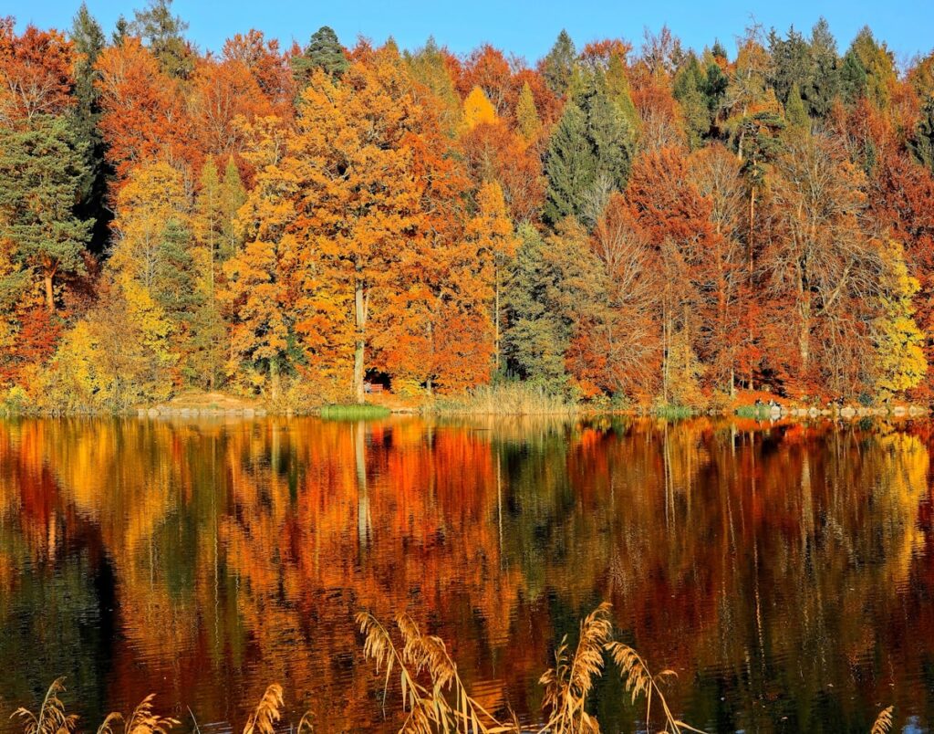 Seasonal Living: Embracing Autumn