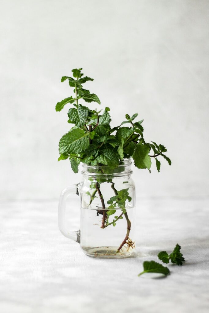 Peppermint