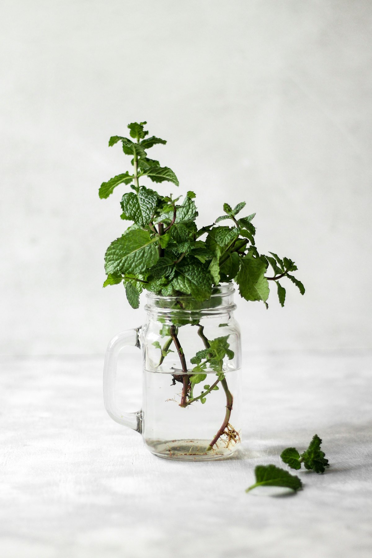 Peppermint